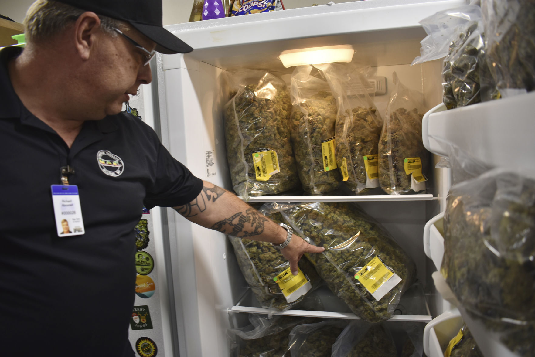 Election 2020 Marijuana Legalization